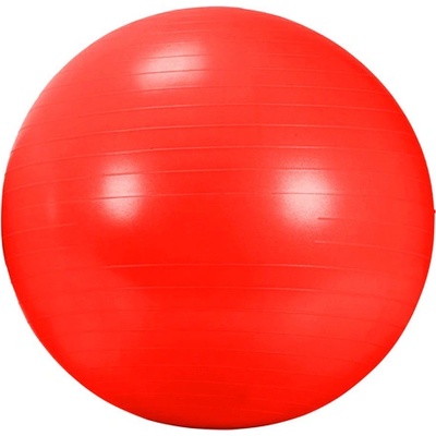 DMA AGB 434 RD Gym Ball 55 cm