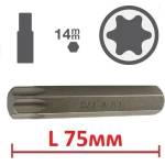 BGS technic Битове torx l75мм на база 14мм - от 4.90лв ; bgs technic