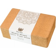 Sharp Shape Cork Yoga block