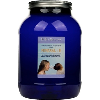 IV San Bernard mineral H 3 l