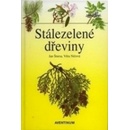 Stálezelené dřeviny