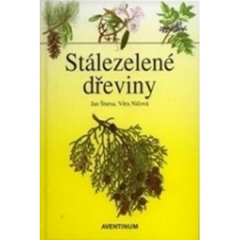 Stálezelené dřeviny