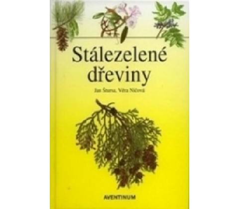 Stálezelené dřeviny
