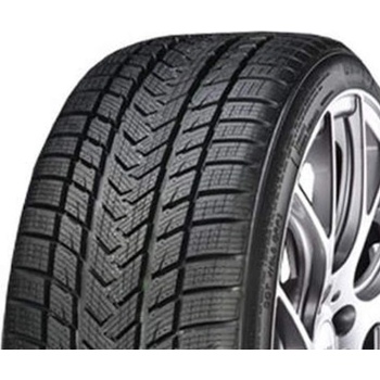 Gripmax Status Pro Winter 245/45 R19 102V