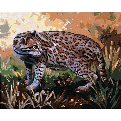 Zuty malování Podle čísel Ocelot V Trávě D. Rusty Rust 80 x 100 Cm Plátno
