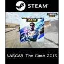 NASCAR 13
