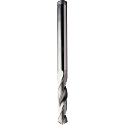 IGM C36302511