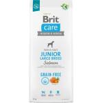 Brit Grain-free Junior Large Breed Salmon & Potato - със сьомга, за едри породи от 3 до 24 месеца, 3 кг