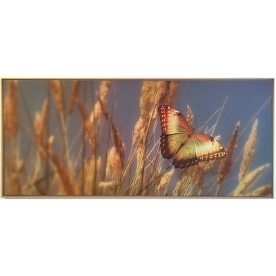 Bondecor Obraz, MDF rám, SHADOW Butterfly 59 x 134 cm