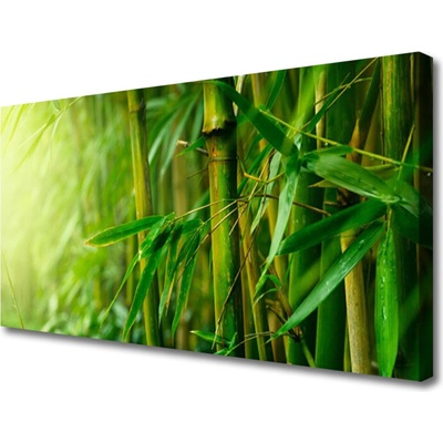 Obraz na plátne Bambus stonky rastlina 100x50 cm