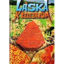 Láska k železákům - Vanek Marcel