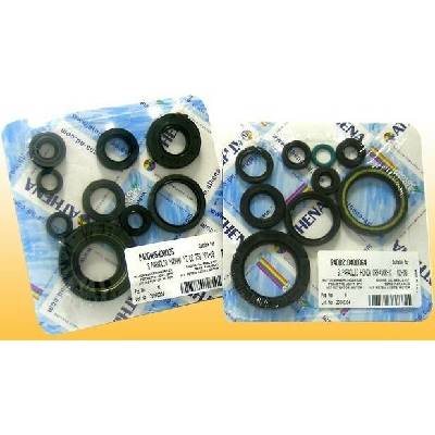 Sada gufer motoru ATHENA P400110400101 P400110400101