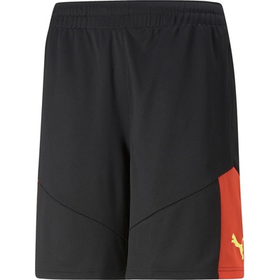 PUMA Teamfinal training shorts m