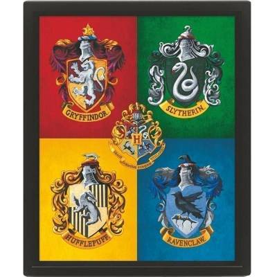Harry Potter : Erby barevné - 3D Obraz s rámem 3D Obraz (s rámem)