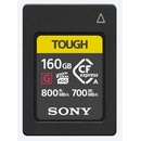 Sony 160 GB EAG160T.SYM