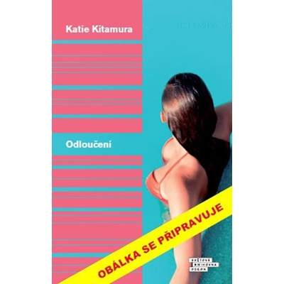 Odloučení - Katie Kitamura