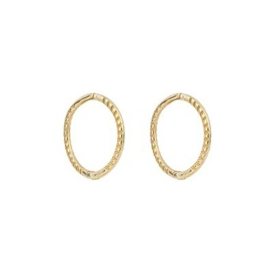Elements Gold zlaté náušnice GE1000