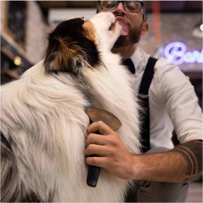 Vidiek & Tradícia Kurča odchov sypká zmes 20 kg