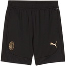 Puma šortky ACM Training shorts 778198-04