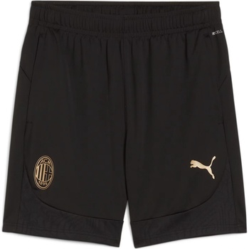 Puma šortky ACM Training shorts 778198-04