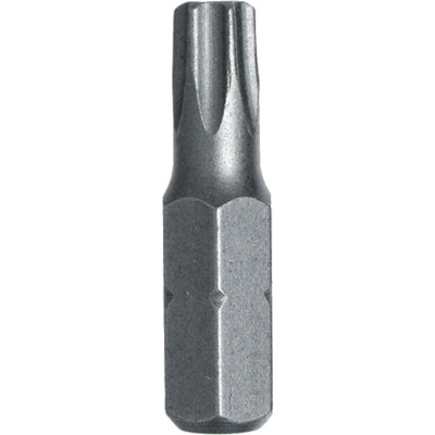 Bit Stahlberg T30 2 ks