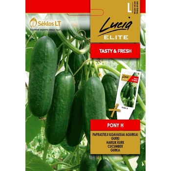 Seklos Краставици Пони F1 Pony H