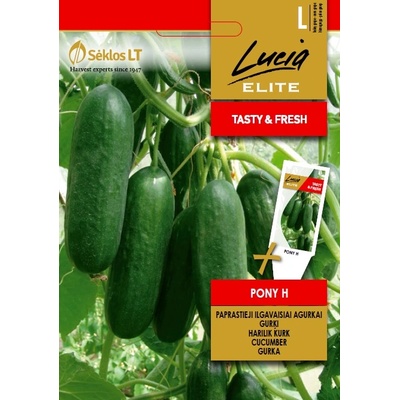 Seklos Краставици Пони F1 Pony H