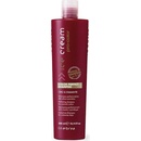 Šampony Inebrya Pro-Color Color Perfect Shampoo 300 ml
