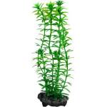 TETRA Egeria densa (Anacharis) - растение Tetra 30 см, L