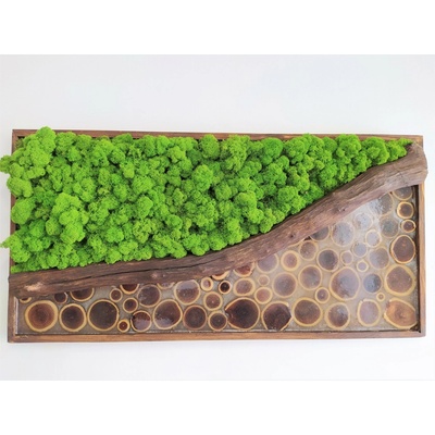 Mechový obraz s epoxidem 50cm x 100cm