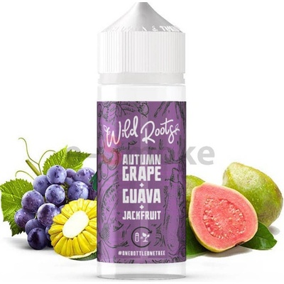 Wild Roots Autumn Grape Guava & Jackfruit 100 ml S&V