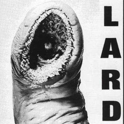 Lard - Power Of Lard EP (Reissue) (White Coloured) (EP)