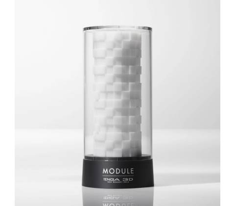 Tenga 3D Module