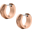 Fossil náušnice JF04662791