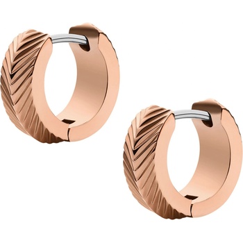 Fossil náušnice JF04662791