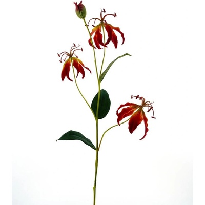 Gloriosa Lilie oranžová V82 cm