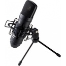 Tascam TM-80