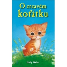 O zrzavém koťátku - Holly Webbová