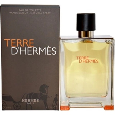 Hermès Terre D Hermes EDT TR 100ml Мъжки
