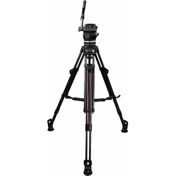 Cartoni Focus 18