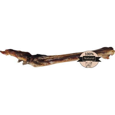 Blažek Pštrosí pařát natural 60 cm