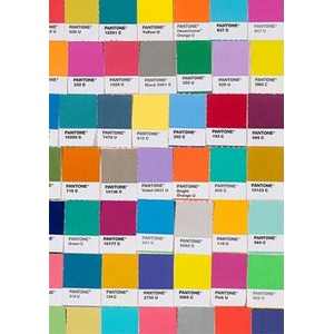 Pantone: Multicolor Journal (ISBN: 9780811877558)