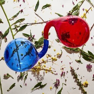 Dirty Projectors - Lamp Lit Prose (Limited Edition) (Coloured) (180 g) (LP) (0887828039234)