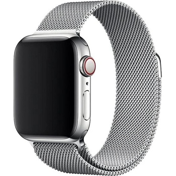Eternico Elegance Milanese na Apple Watch 38 mm/40 mm/41 mm silver AET-AWMNS-si-38