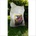 Biofer Nera 10 kg BF0002