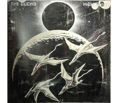 Ducks: High Flyin - Ducks