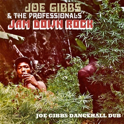 Joe Gibbs & The Professionals - JAM DOWN ROCK - JOE GIBBS DANCEHALL DUB CD