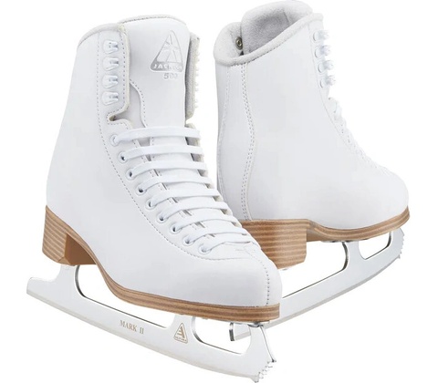 Jackson Classic 500