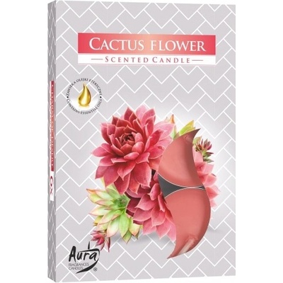 Bispol Aura Cactus Flower 6 ks
