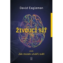 Živoucí síť aneb Jak mozek utváří svět